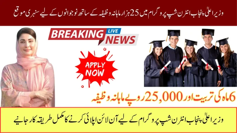 CM Punjab Internship Program 2025 Empowering Youth with Paid Training
