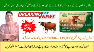 CM Punjab Livestock Card 2025 Latest Update How to Apply and Maximize Benefits
