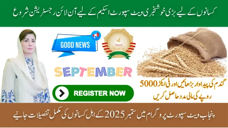 CM Punjab Wheat Support Program 2025 Eligibility, Registration and Farmer Benefits Explained