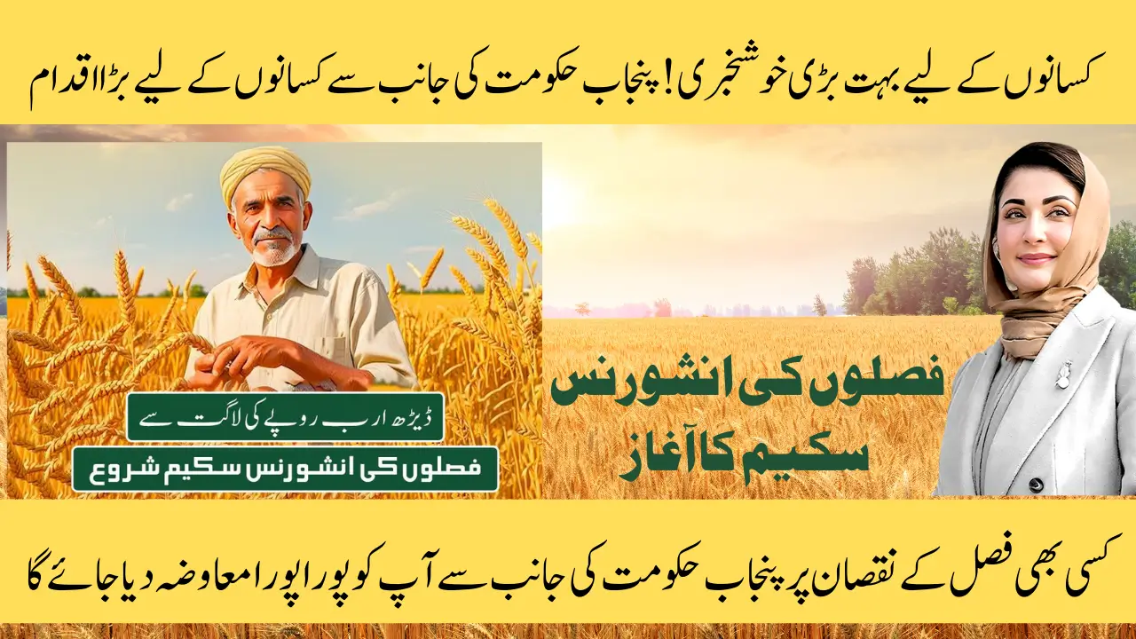 Punjab Crop Insurance Scheme 2025 Online Registration and Required Documents