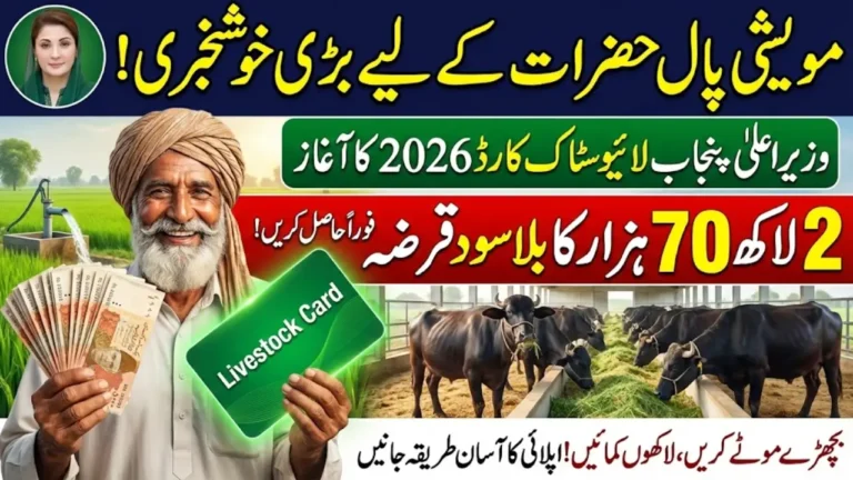 CM Punjab Livestock Card 2026 Latest Update How to Apply and Maximize Benefits