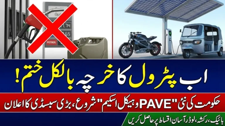 Pave gov pk Vehicles Prices List and Subsidy Details Electic Bike and Rickshaws Prices